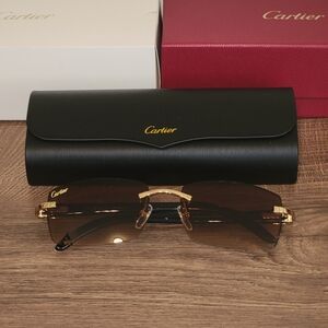 Cartier Glasses